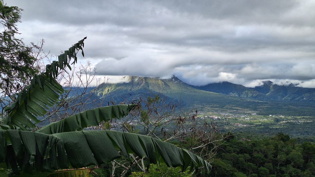 View Kawasan Ekosistem Leuser