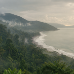 Hutan dan pesisir