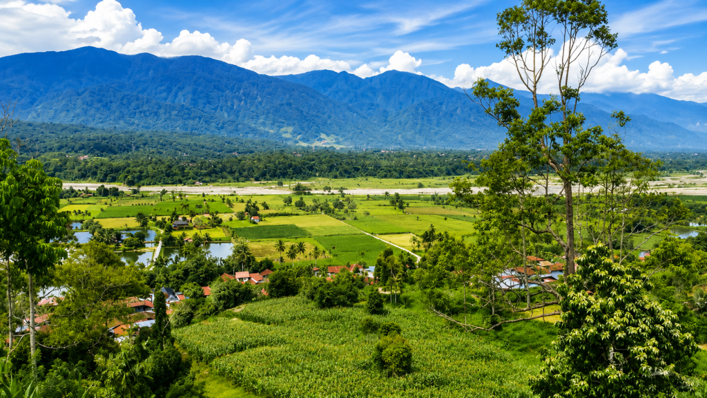 Profil Desa Gulo-Aceh Tenggara